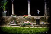 /album/fotogaleria-girona/a38-copia-640x480-jpg/